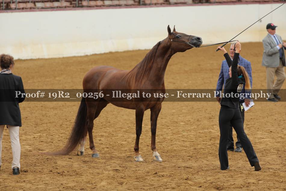 Proof 19R2_00256