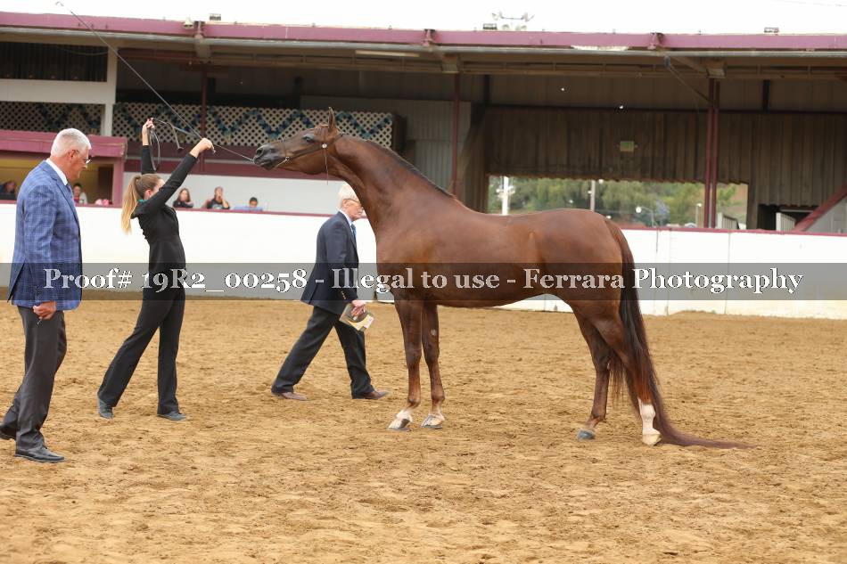 Proof 19R2_00258