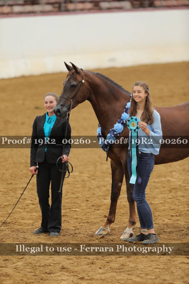 Proof 19R2_00260