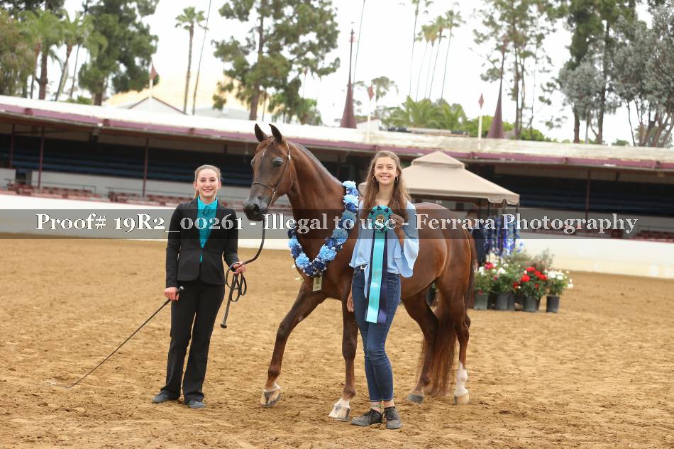Proof 19R2_00261