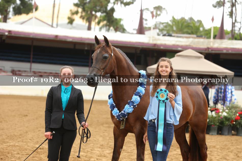 Proof 19R2_00263