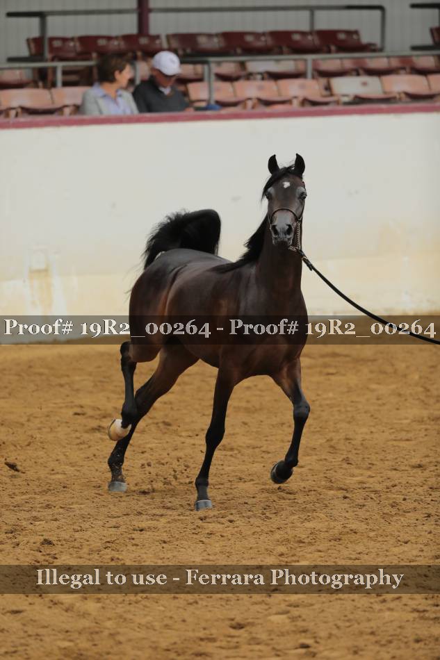 Proof 19R2_00264