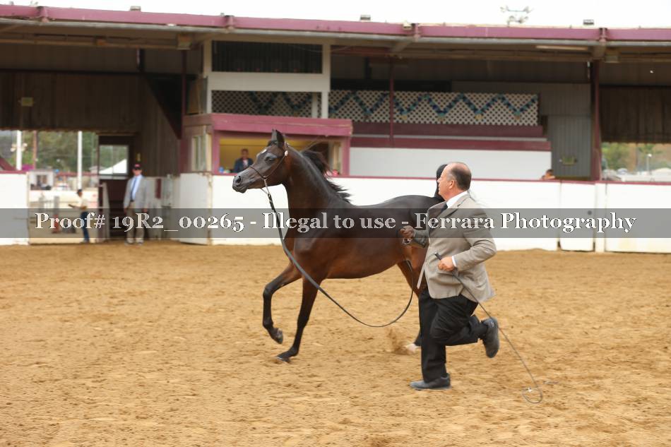 Proof 19R2_00265