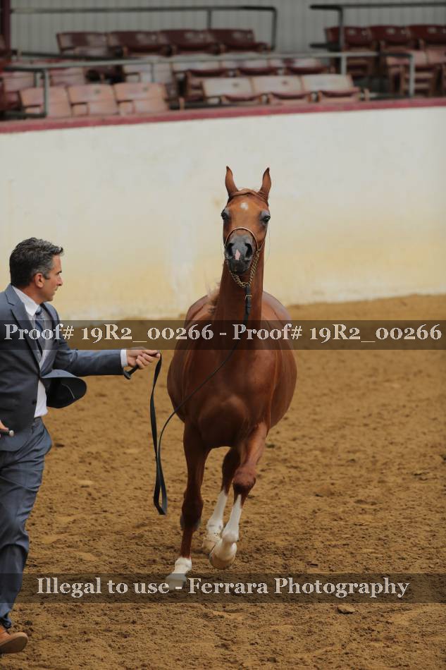 Proof 19R2_00266