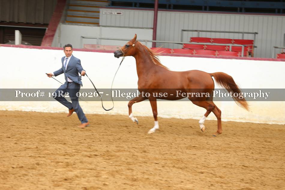 Proof 19R2_00267