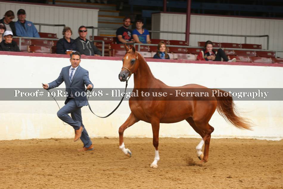 Proof 19R2_00268