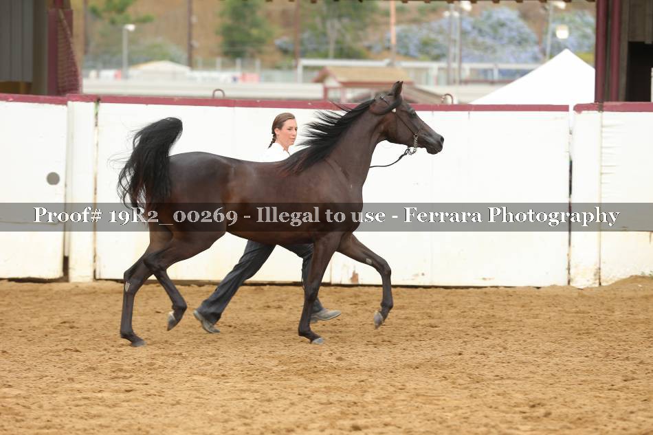Proof 19R2_00269