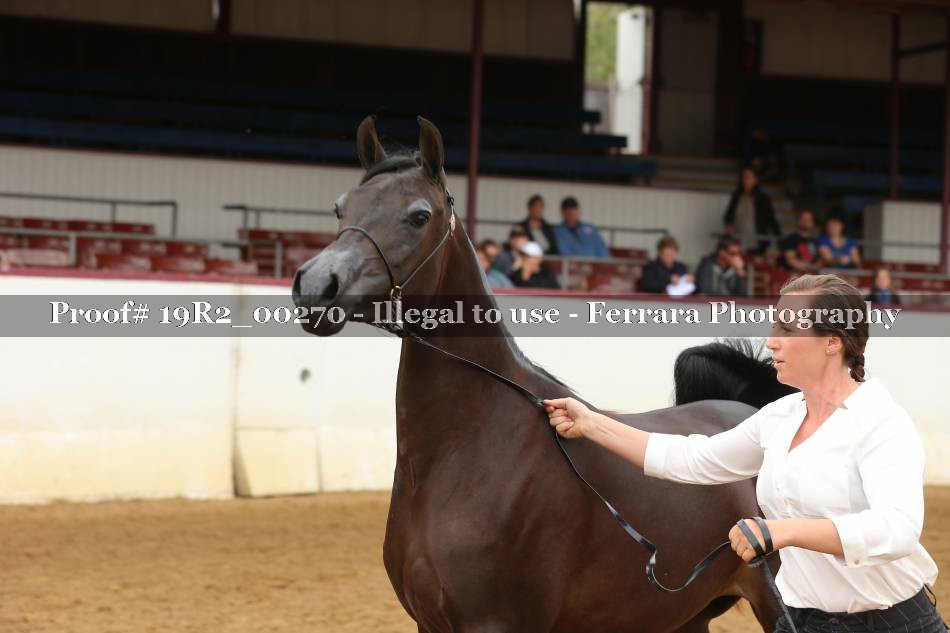 Proof 19R2_00270