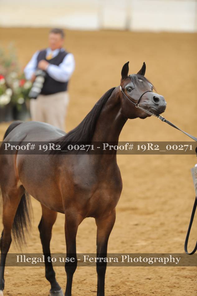 Proof 19R2_00271