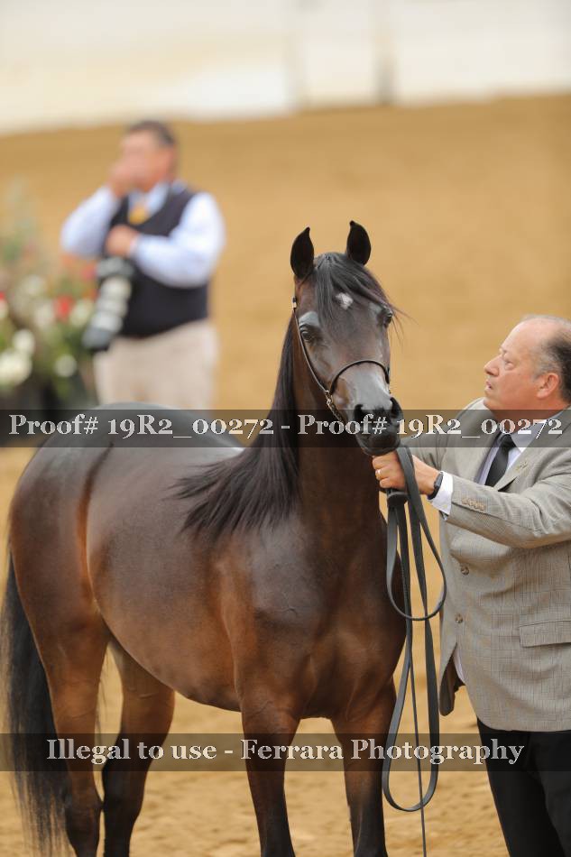 Proof 19R2_00272