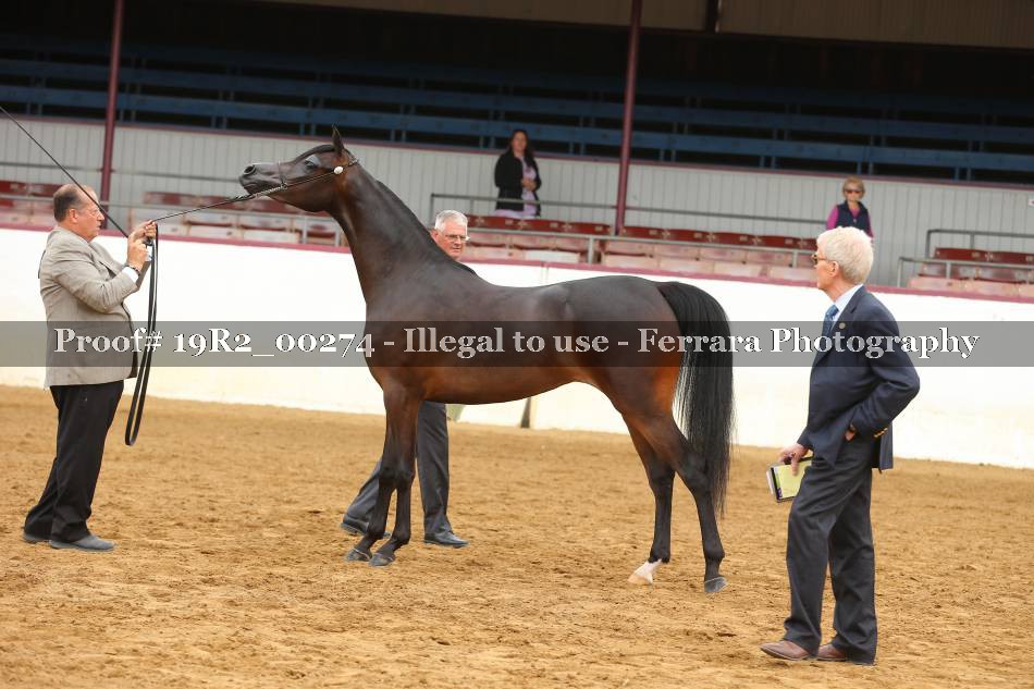 Proof 19R2_00274