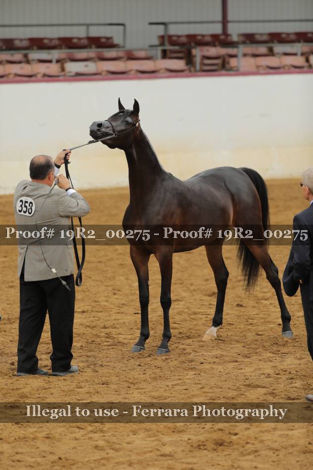 Proof 19R2_00275