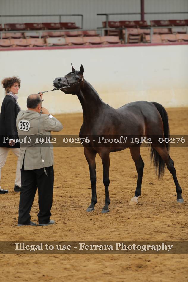 Proof 19R2_00276