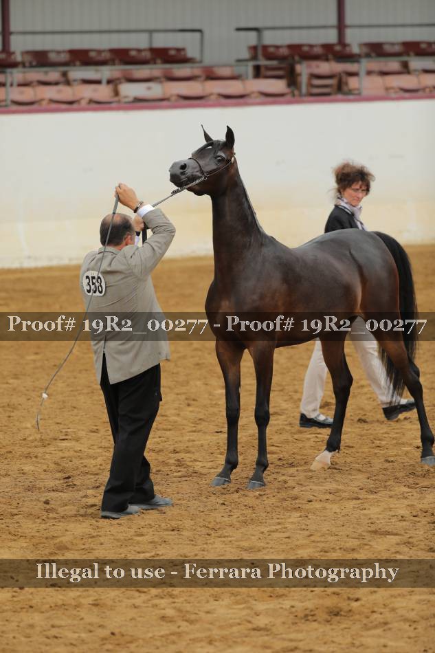 Proof 19R2_00277
