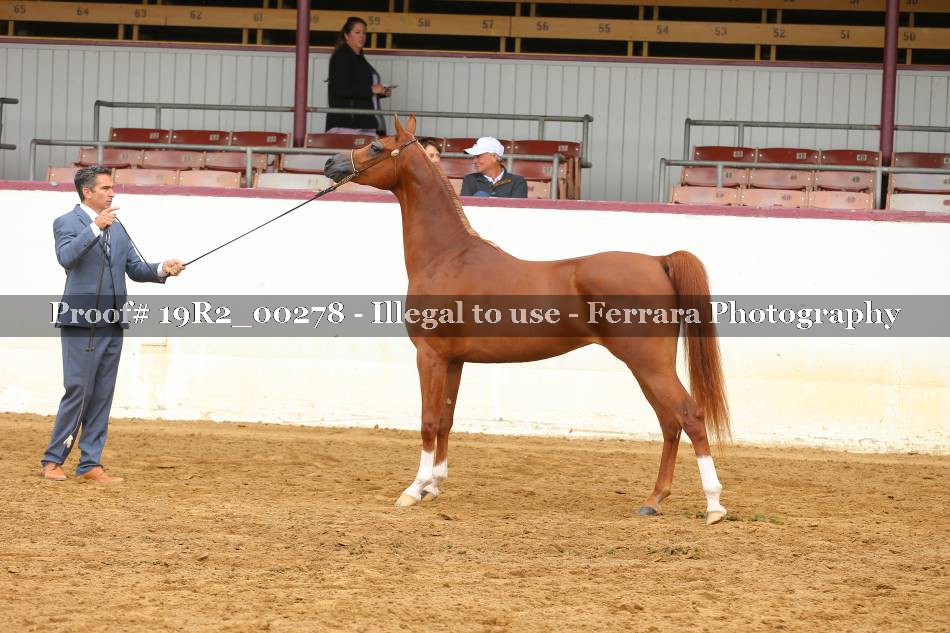 Proof 19R2_00278
