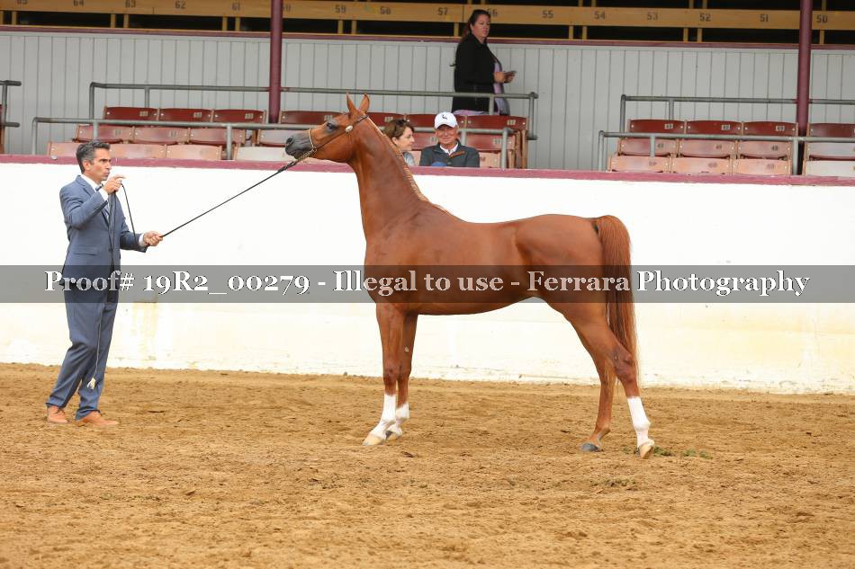 Proof 19R2_00279