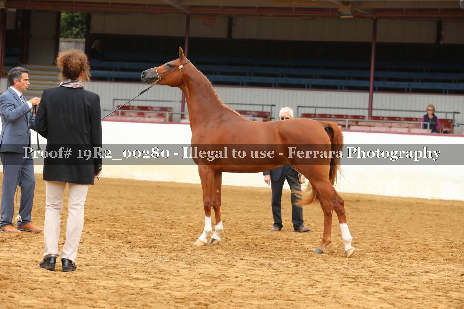 Proof 19R2_00280