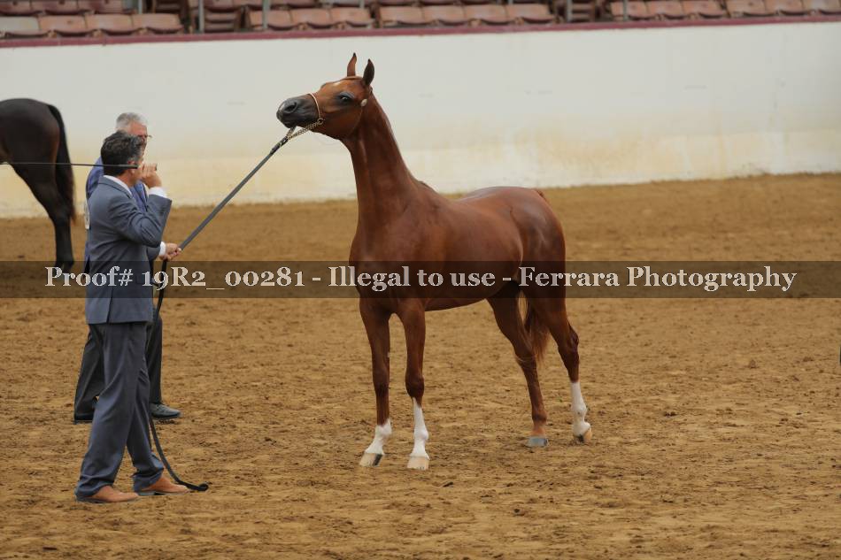 Proof 19R2_00281