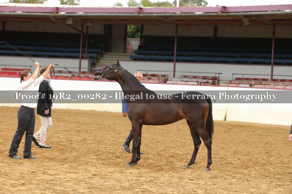 Proof 19R2_00282