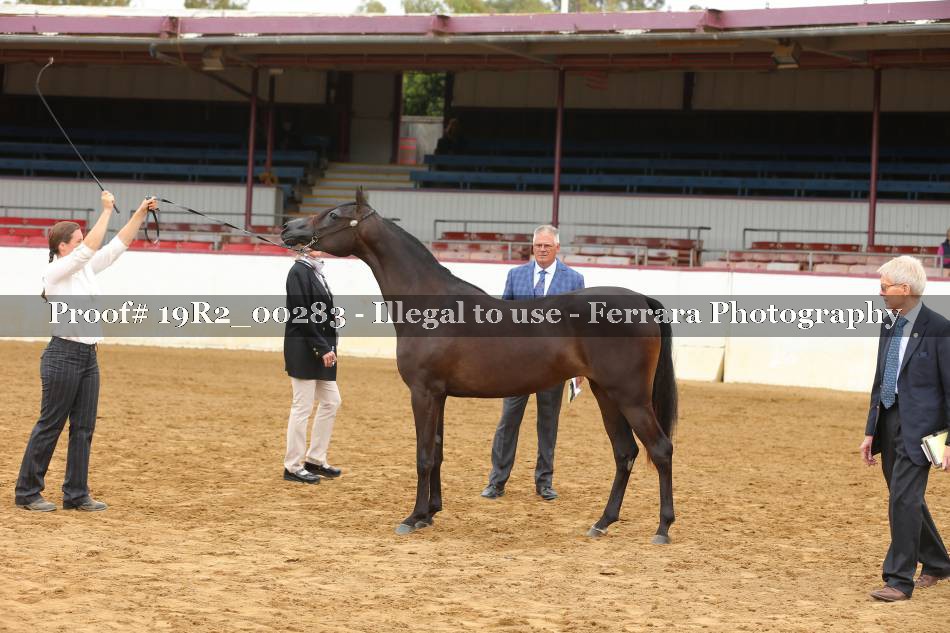Proof 19R2_00283