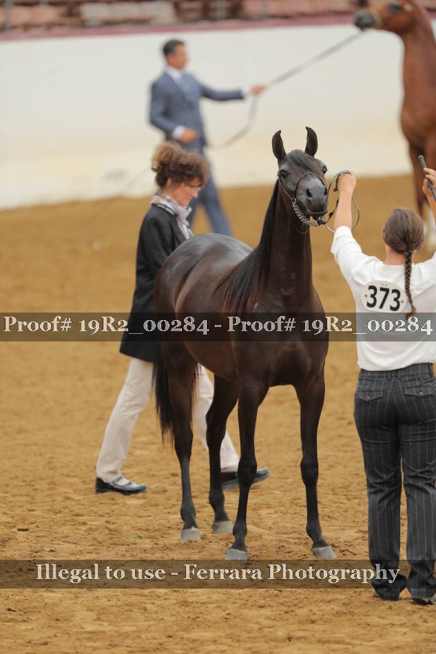 Proof 19R2_00284