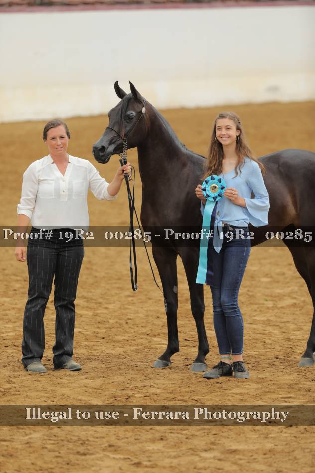 Proof 19R2_00285