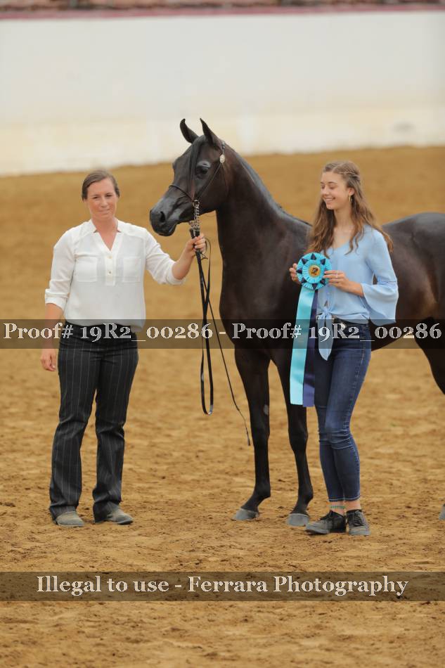 Proof 19R2_00286