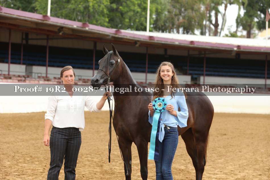Proof 19R2_00287