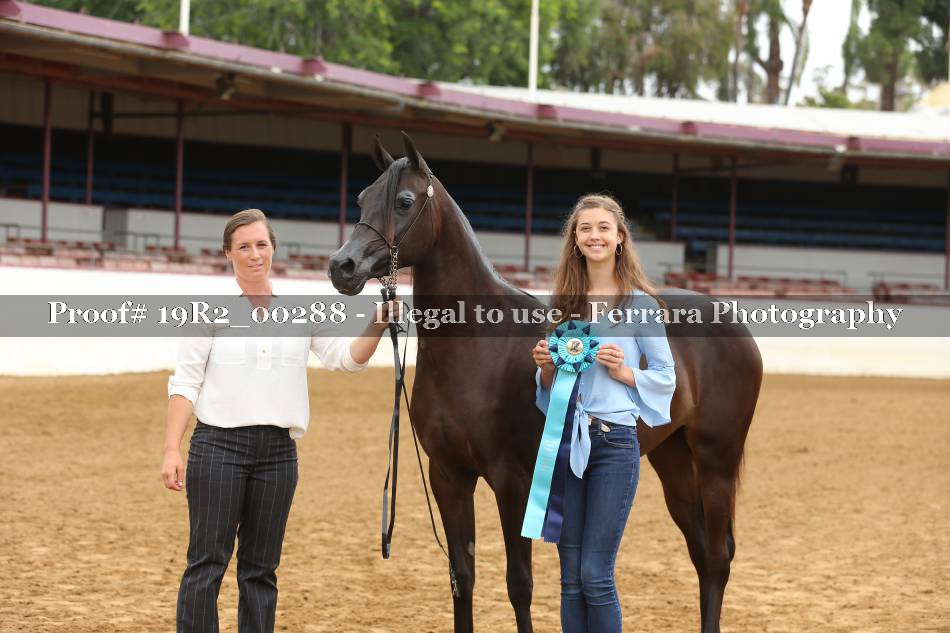Proof 19R2_00288
