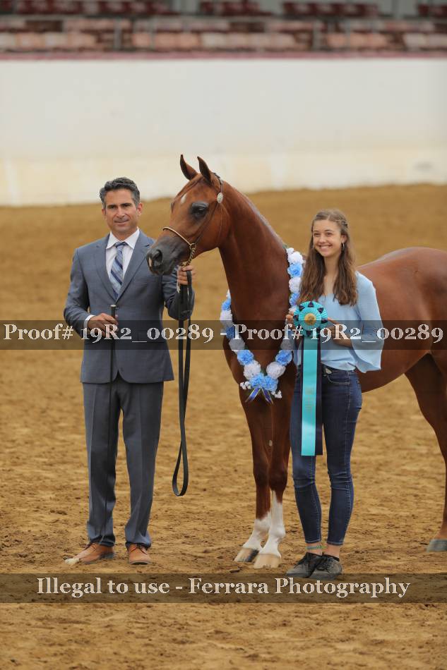 Proof 19R2_00289