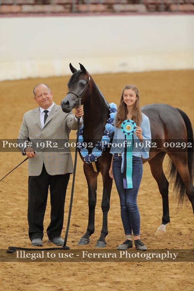Proof 19R2_00292