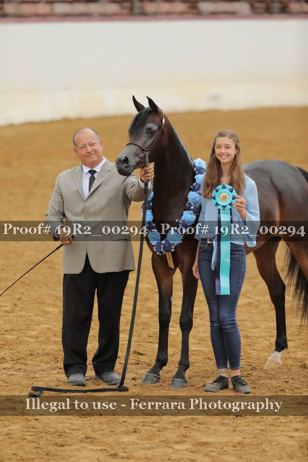Proof 19R2_00294