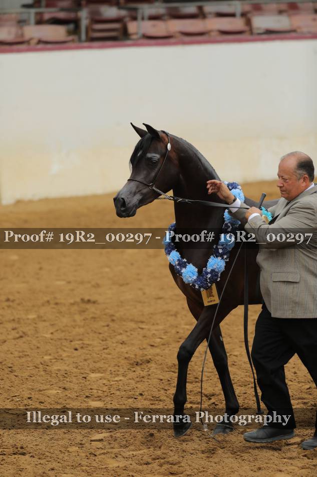 Proof 19R2_00297