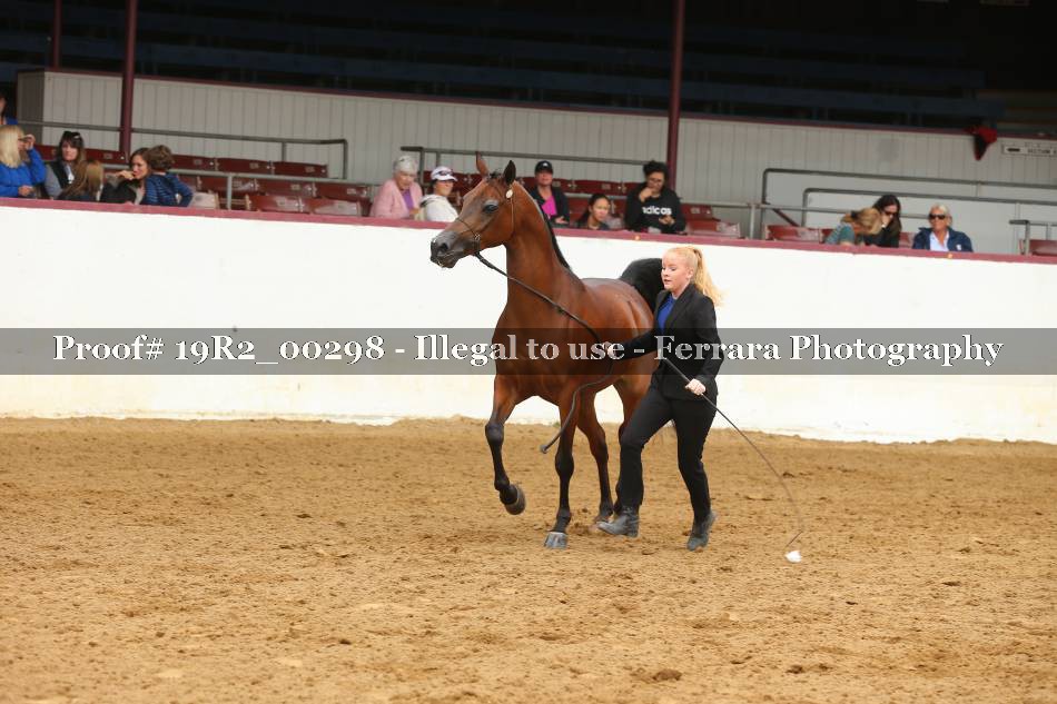 Proof 19R2_00298