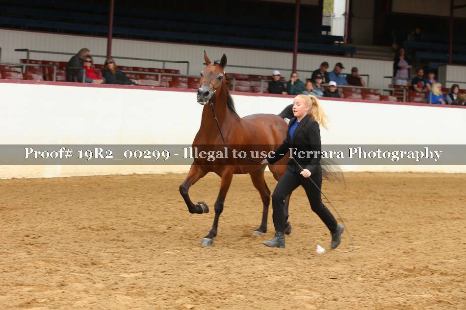 Proof 19R2_00299
