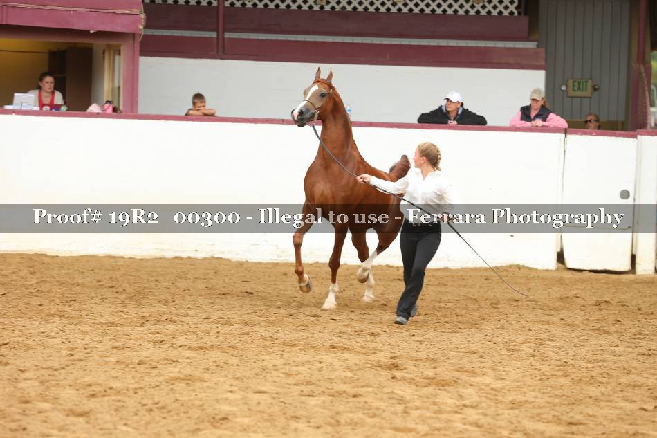Proof 19R2_00300
