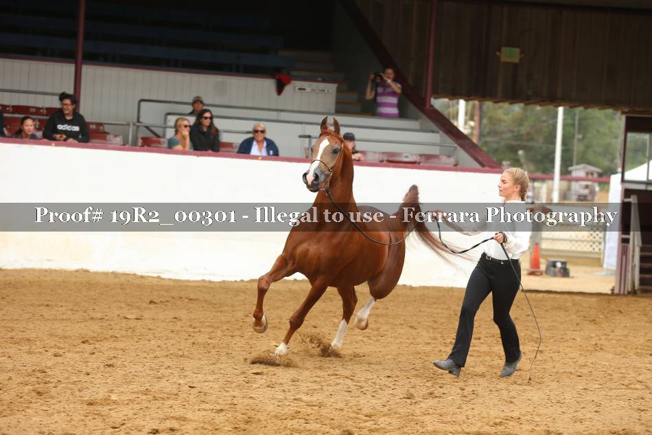 Proof 19R2_00301