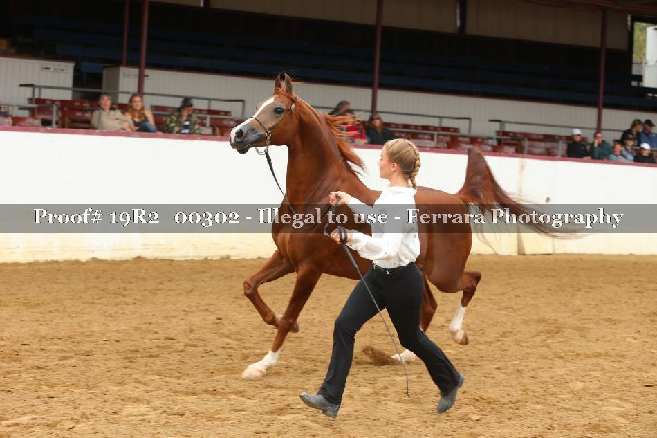 Proof 19R2_00302