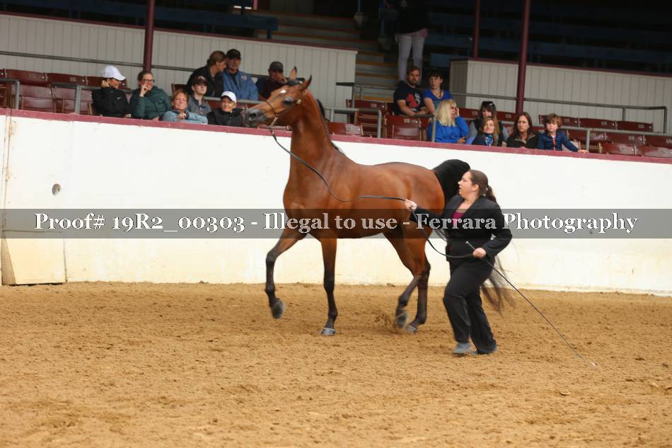Proof 19R2_00303