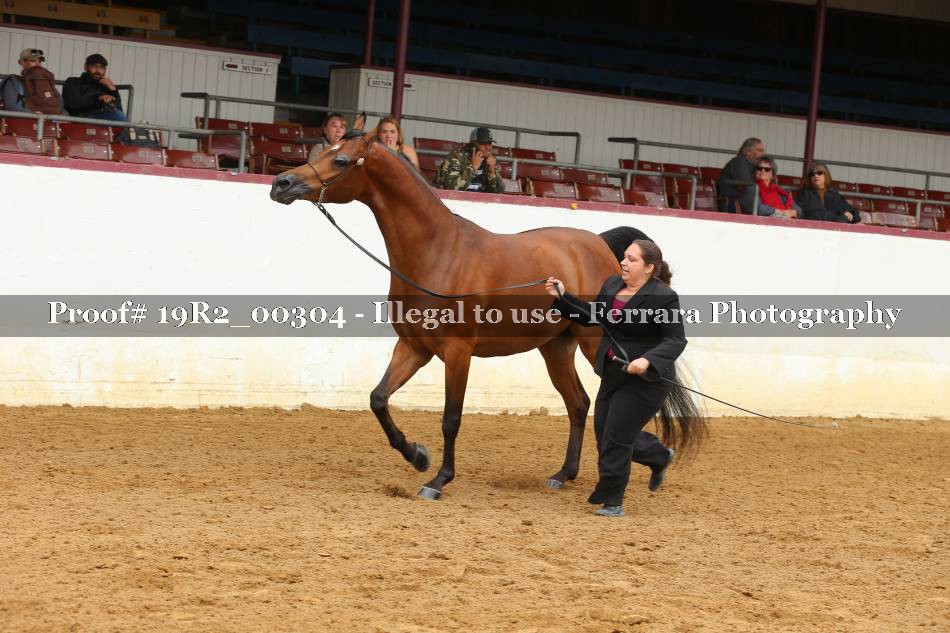 Proof 19R2_00304