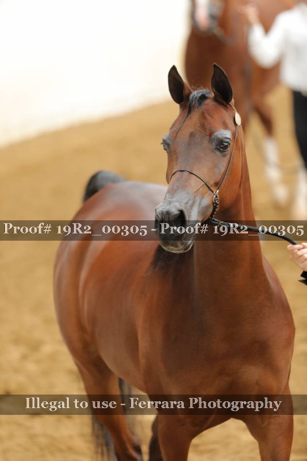 Proof 19R2_00305