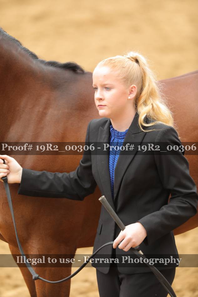 Proof 19R2_00306