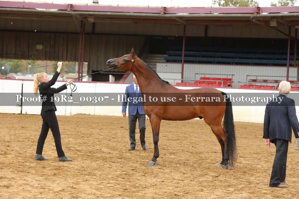 Proof 19R2_00307