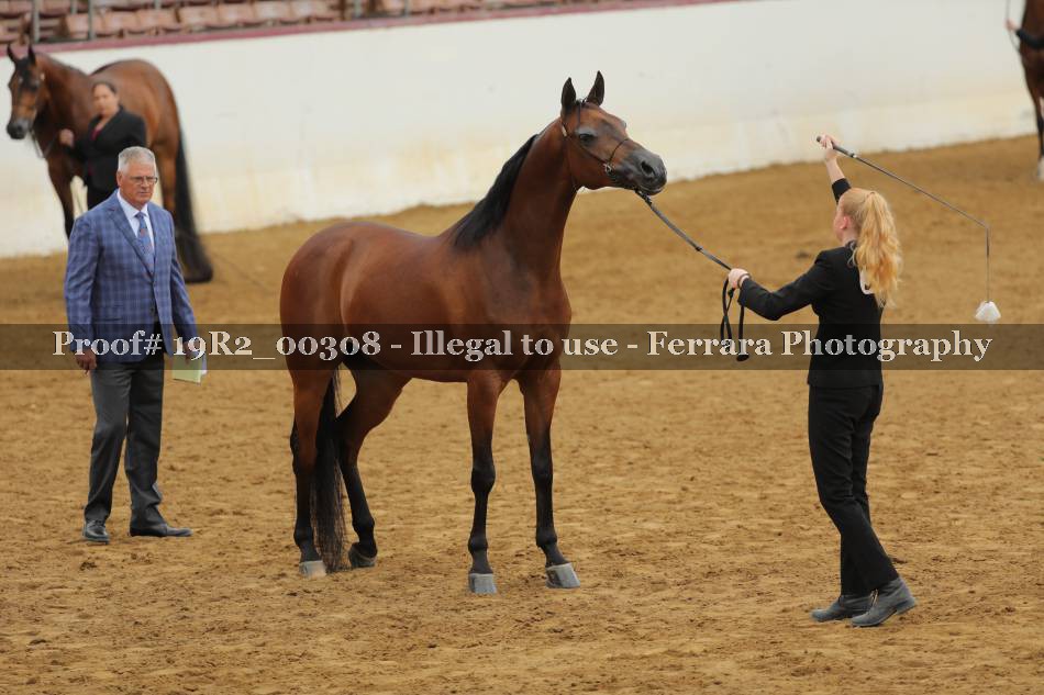 Proof 19R2_00308