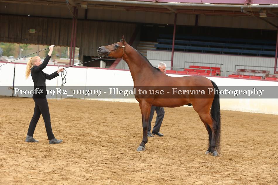 Proof 19R2_00309