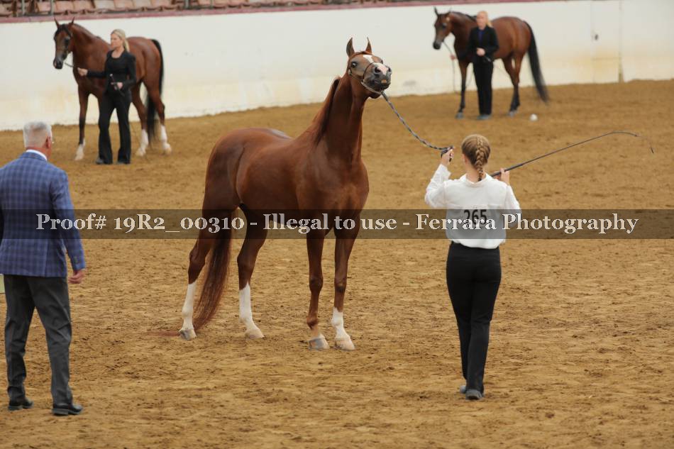 Proof 19R2_00310