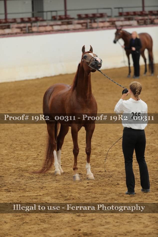 Proof 19R2_00311