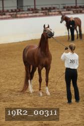 19R2_00311 proof