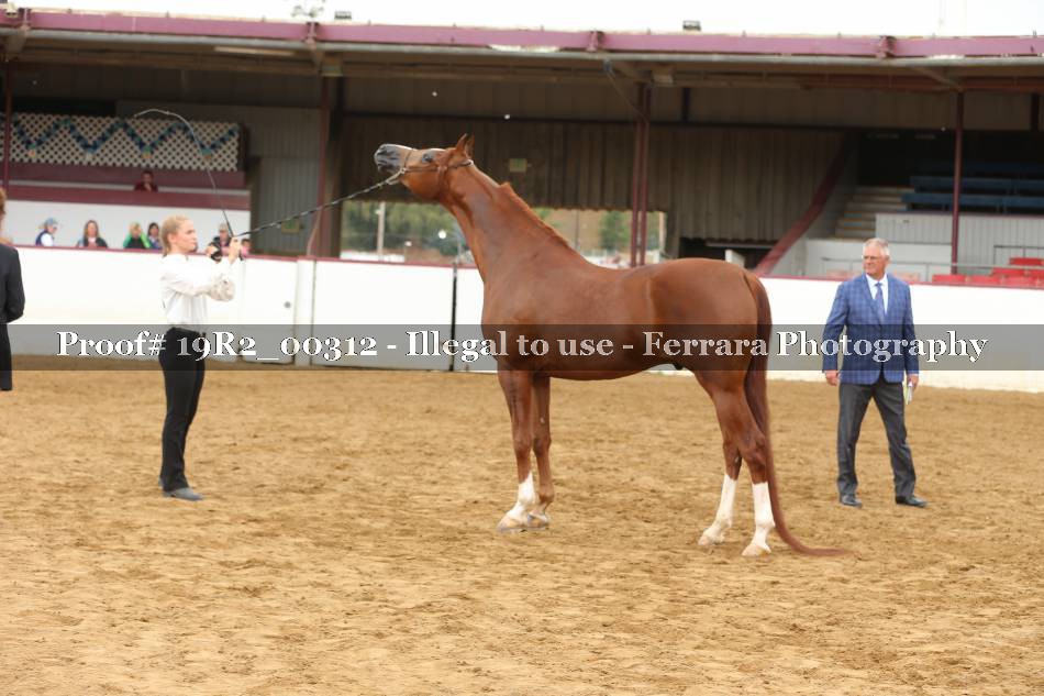 Proof 19R2_00312