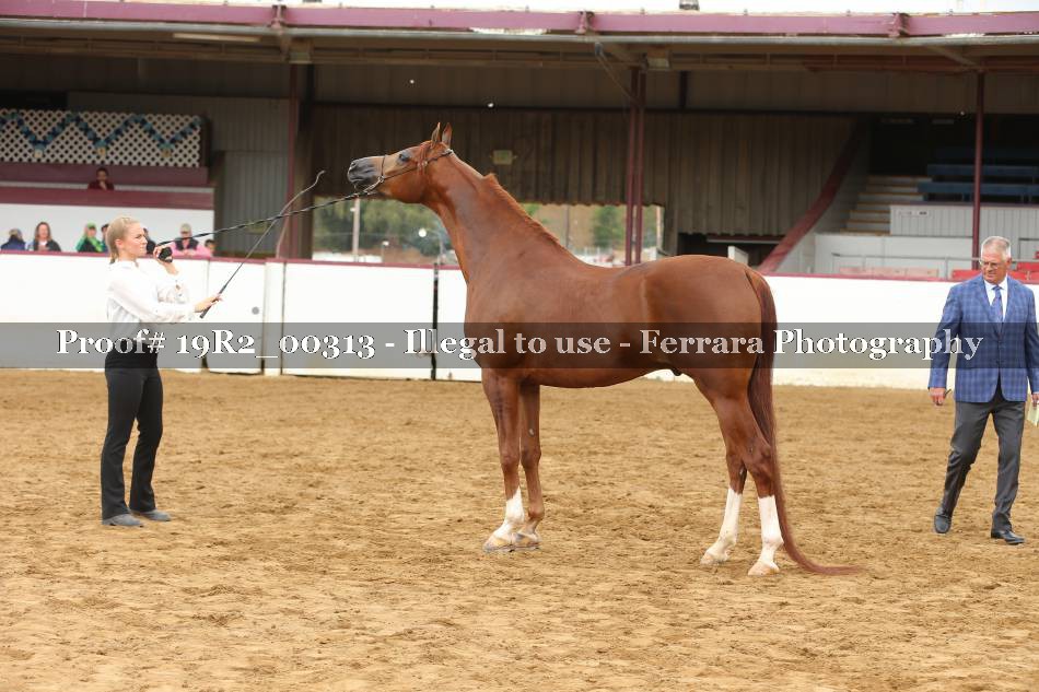 Proof 19R2_00313